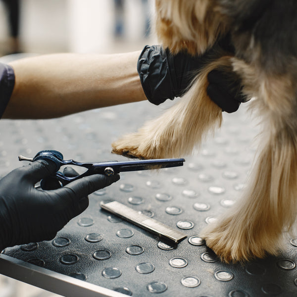 Grooming essentials