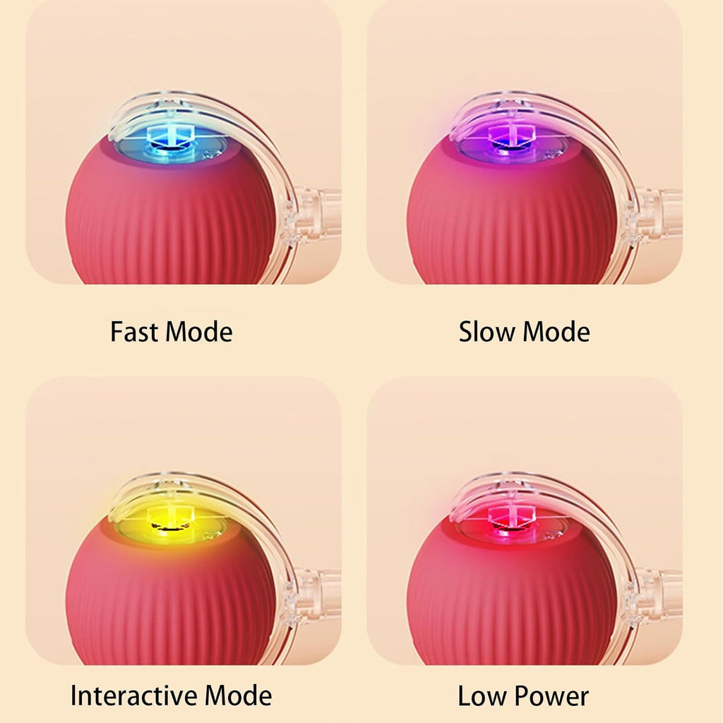 PawLux™ Smart Rolling Ball – 360° Interactive Pet Toy for Dogs & Cats ✅