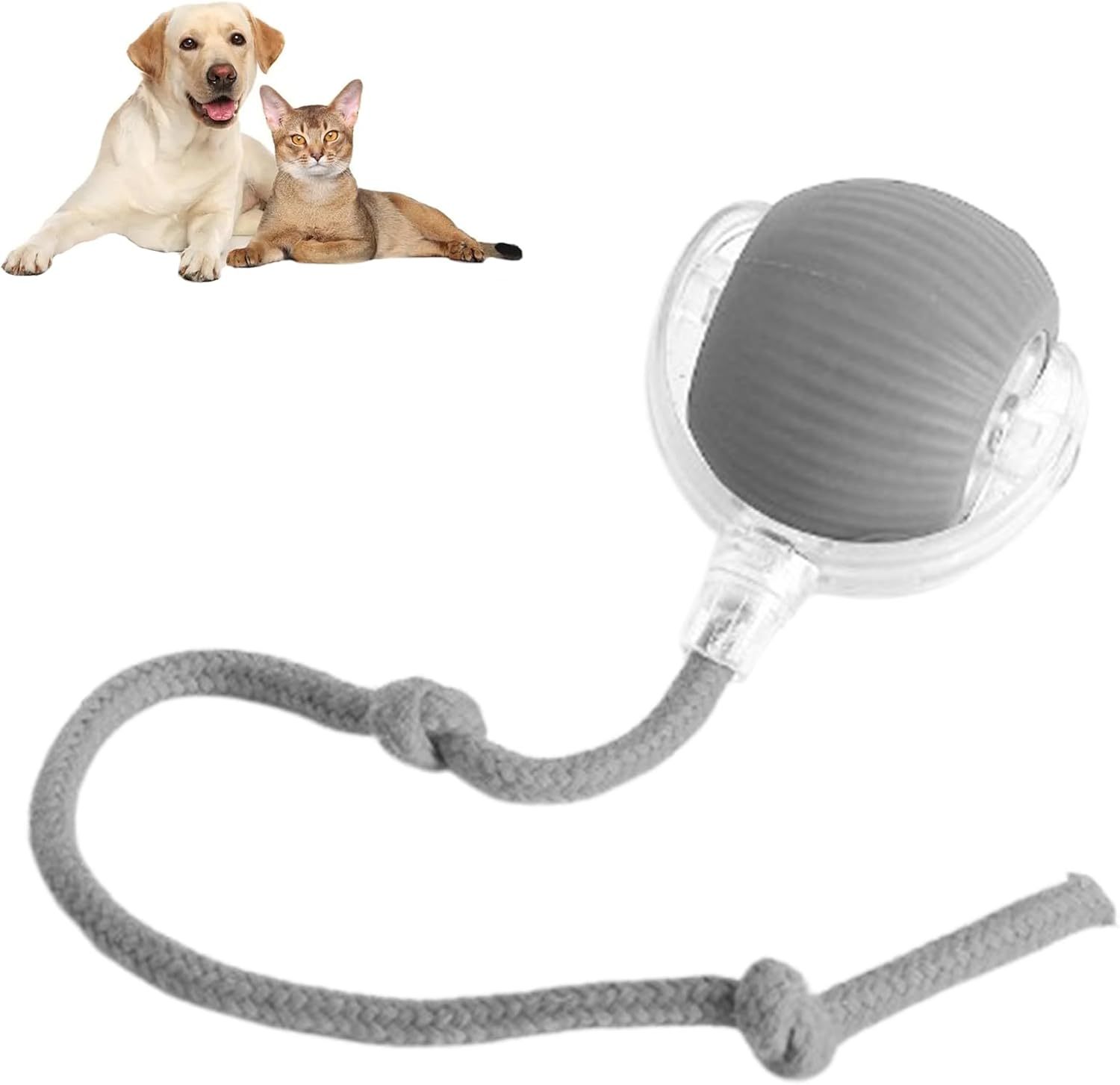 PawLux™ Smart Rolling Ball – 360° Interactive Pet Toy for Dogs & Cats ✅